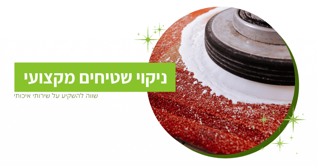 ניקוי שטיחים מקצועי