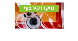 קירצוף מקצועי במעבדה לניקוי שטיחים במרכז