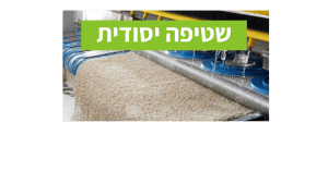 שטיפת שטיח במעבדה לניקוי שטיחים