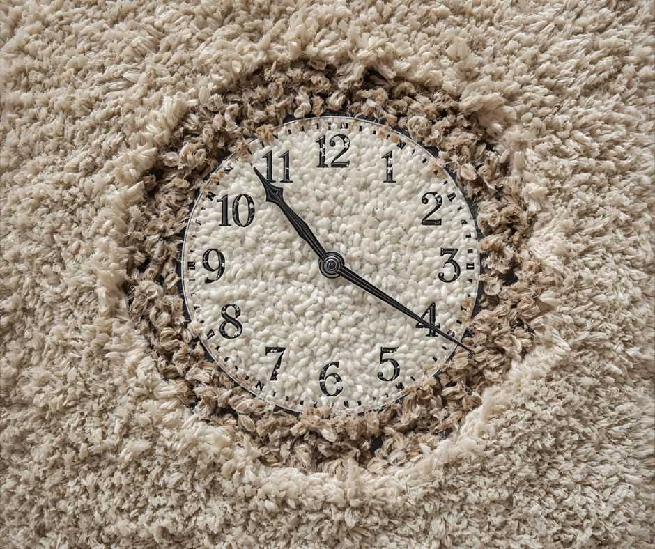 כמה פעמים בשנה צריך לנקות שטיח?