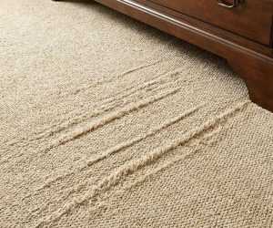 שטיח משופשף