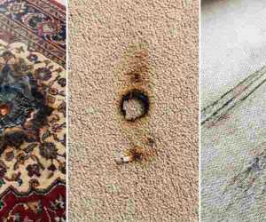 נזקים של שטיח