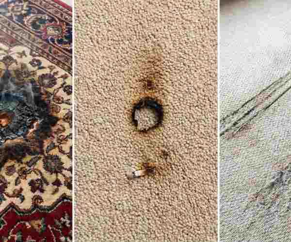 נזקים של שטיח