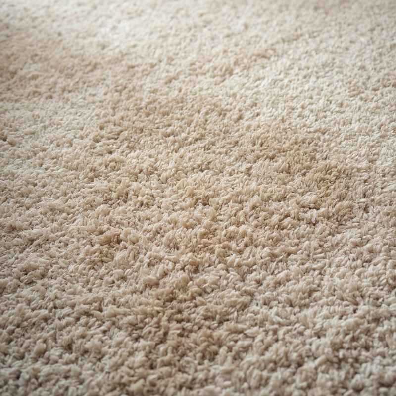 ניקוי שטיח שאגי