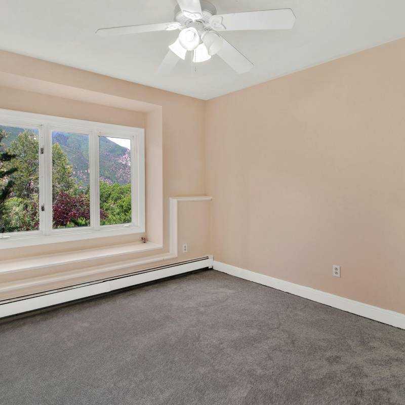 תחזוקת שטיח מקיר לקיר